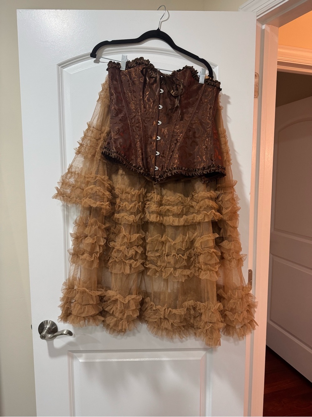 Ruffle Tiered Tulle Skirt and Lace Up Corset Set Victorian Halloween Costume